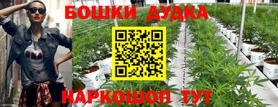 тгк Аргун