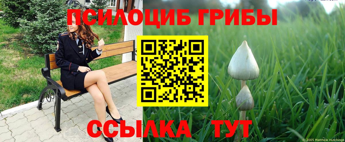 Псилоцибиновые грибы прущие грибы Апрелевка