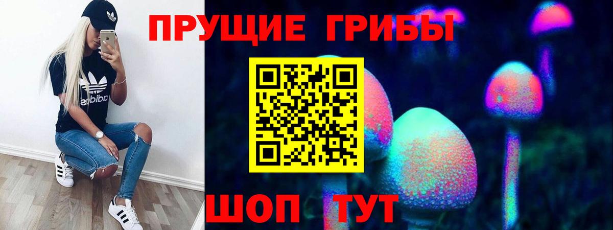 Галлюциногенные грибы Magic Shrooms  Вход с VPN  закладка  Апрелевка 